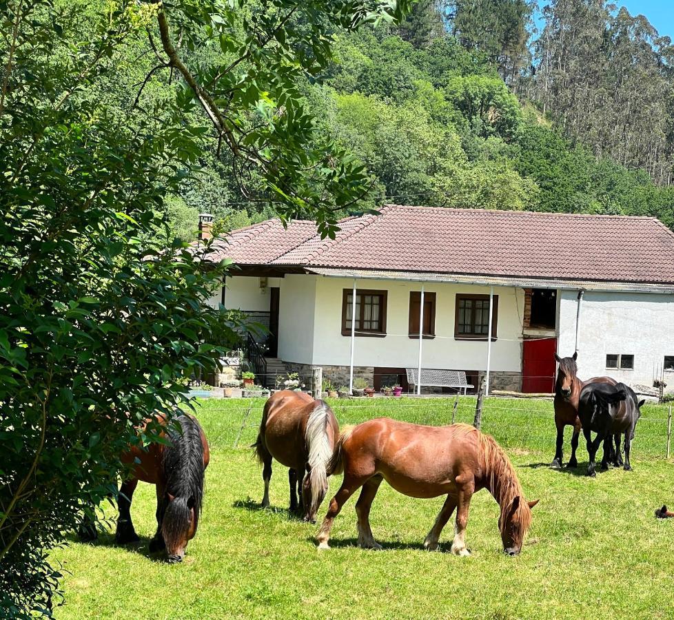 La Casita De Olivia Espinaredo Villa La Villa Exteriör bild