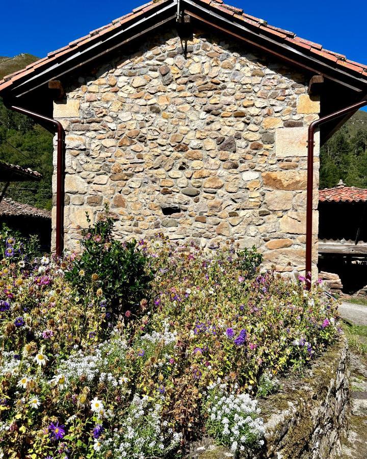 La Casita De Olivia Espinaredo Villa La Villa Exteriör bild